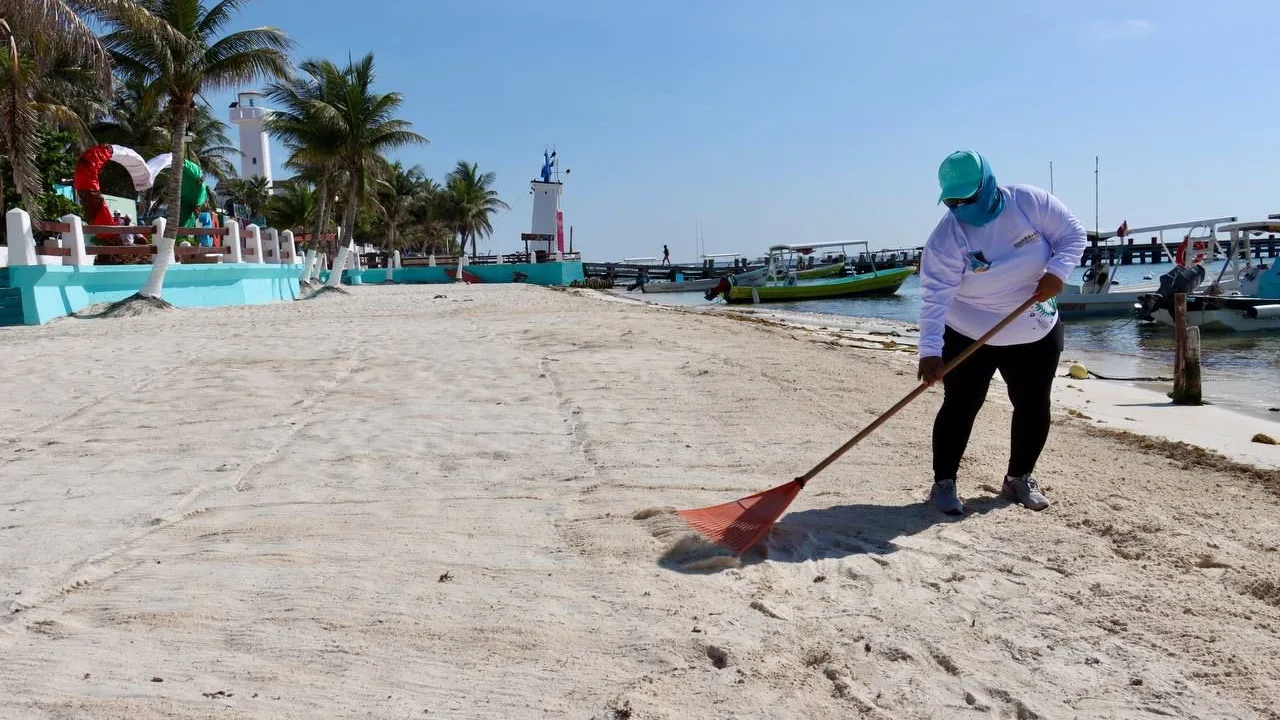 En 2025 se consolidaron acciones en atención al sargazo: Blanca Merari
