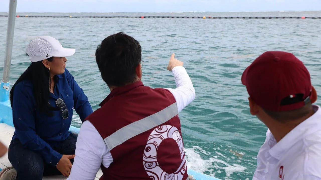 Constatan funcionamiento de barrera antisargazo en Puerto Morelos