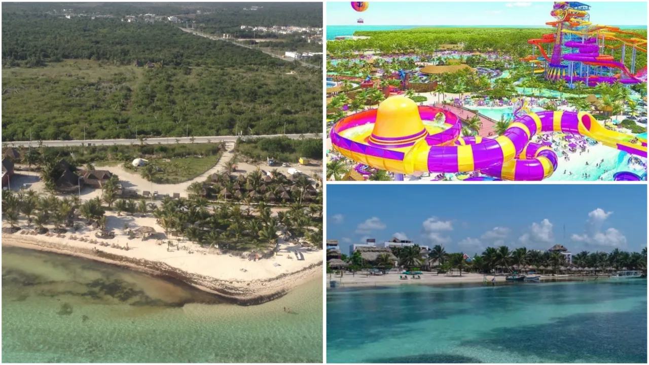 “Perfect Day” en Mahahual: cuando el paraíso está en riesgo