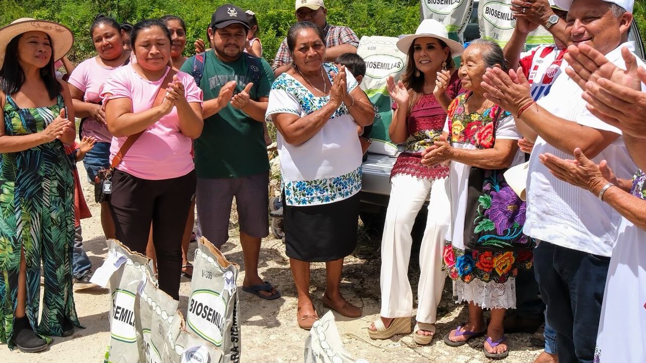En gira por José María Morelos Mara Lezama entrega semillas mejoradas para fortalecer a las familias del campo e inaugura nuevo domo en el Colegio de Bachilleres